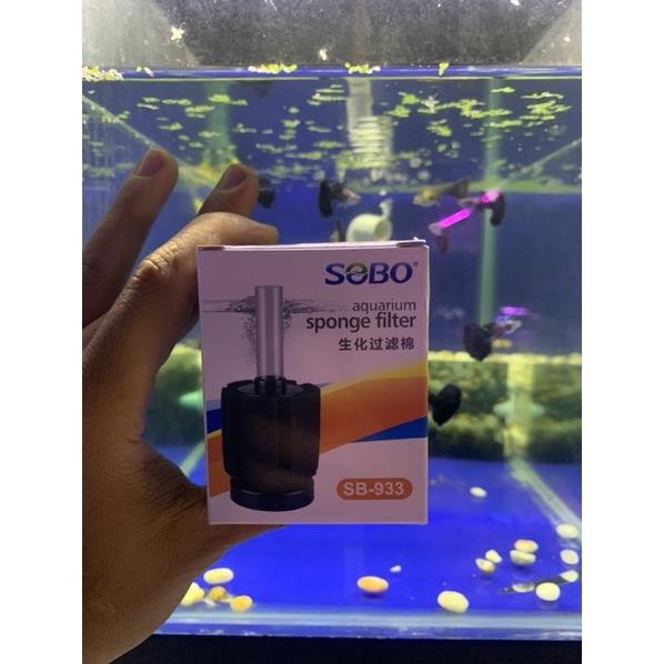 Lọc Bio hồ cá