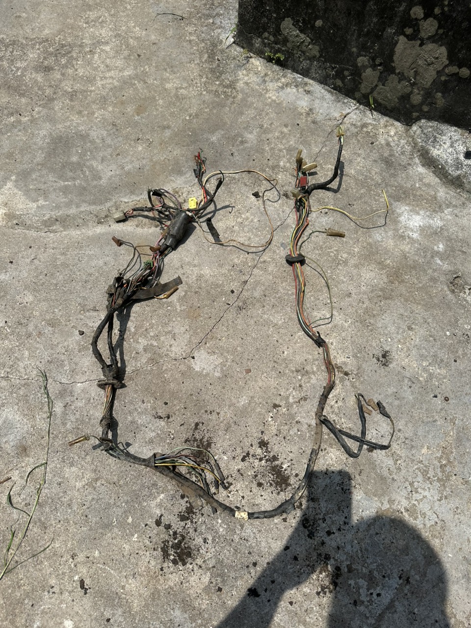 Bộ dây điện honda chaly hàng tháo xe