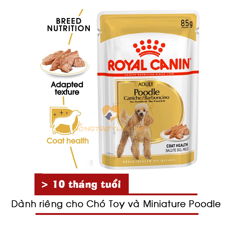 Pate royal canin cho chó poodle wet 85gr -
