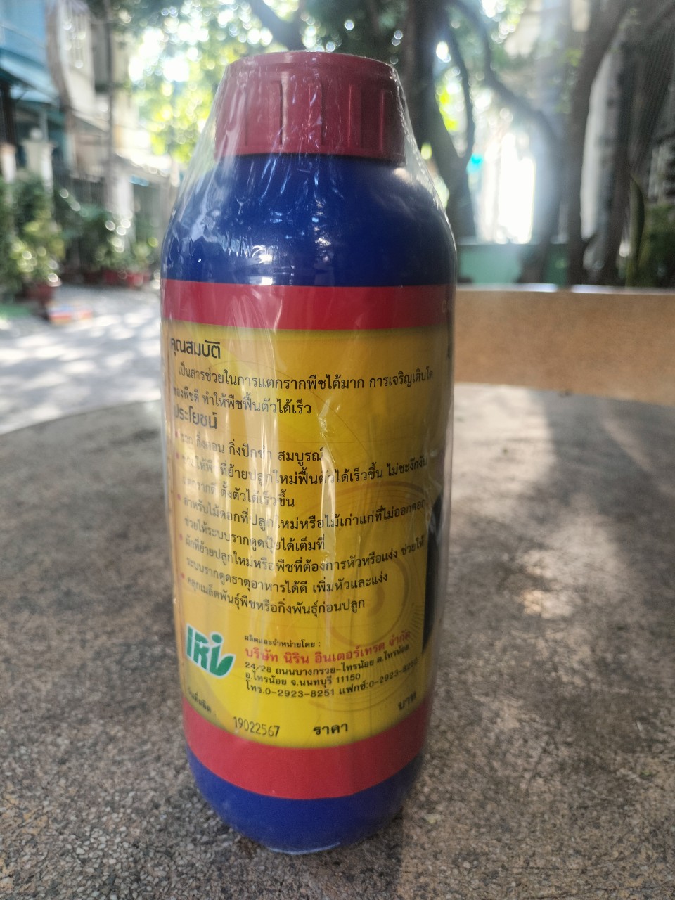 Phân bón lá Vitamin B1 Thái Xanh 1 LÍT KÍCH RỄ, CHỐNG SỐC CHO CÂY