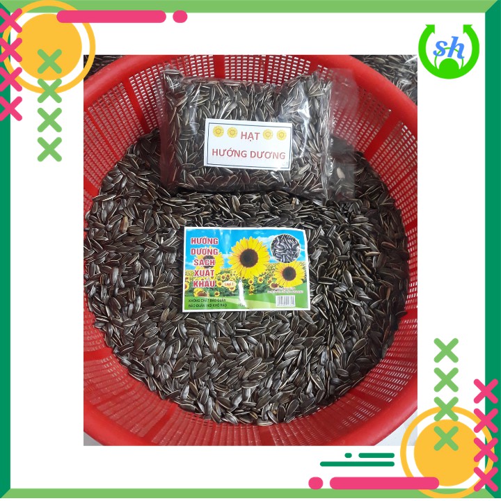 Hạt hướng dương sạch xuất khẩu