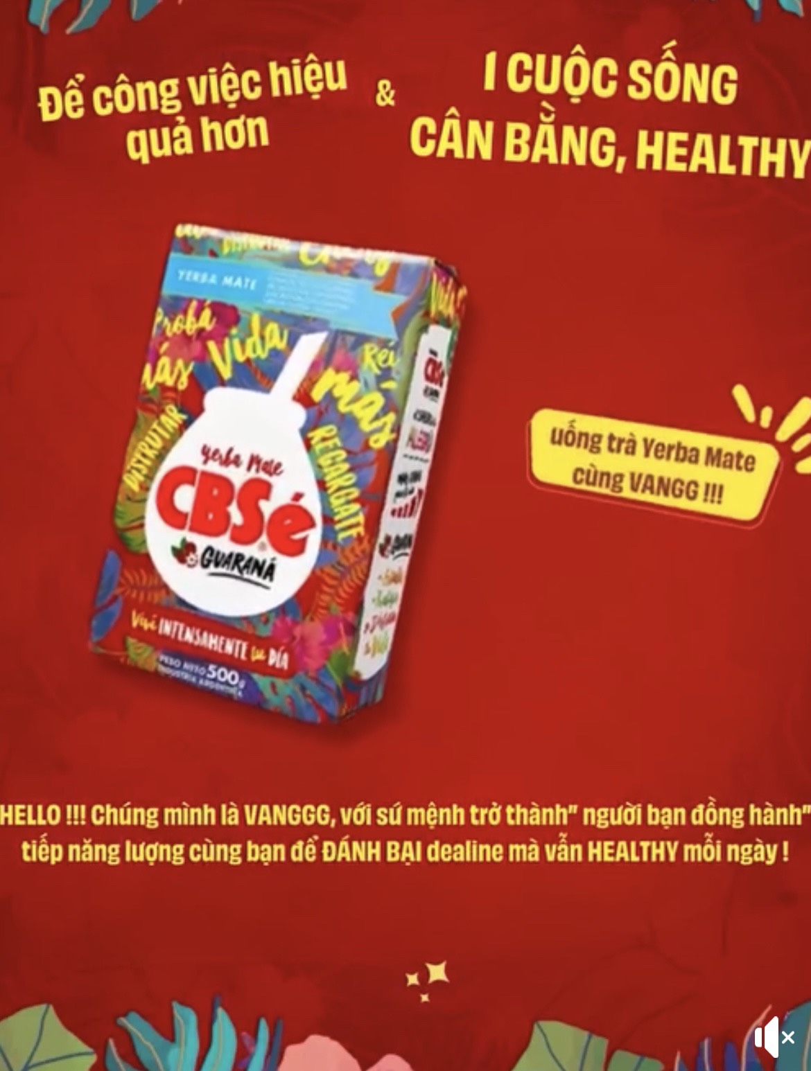 [MẪU TÚI ZIP DÙNG THỬ TRÀ YERBA MATEA ] Trà Nam Mỹ Yerba Mate các vị