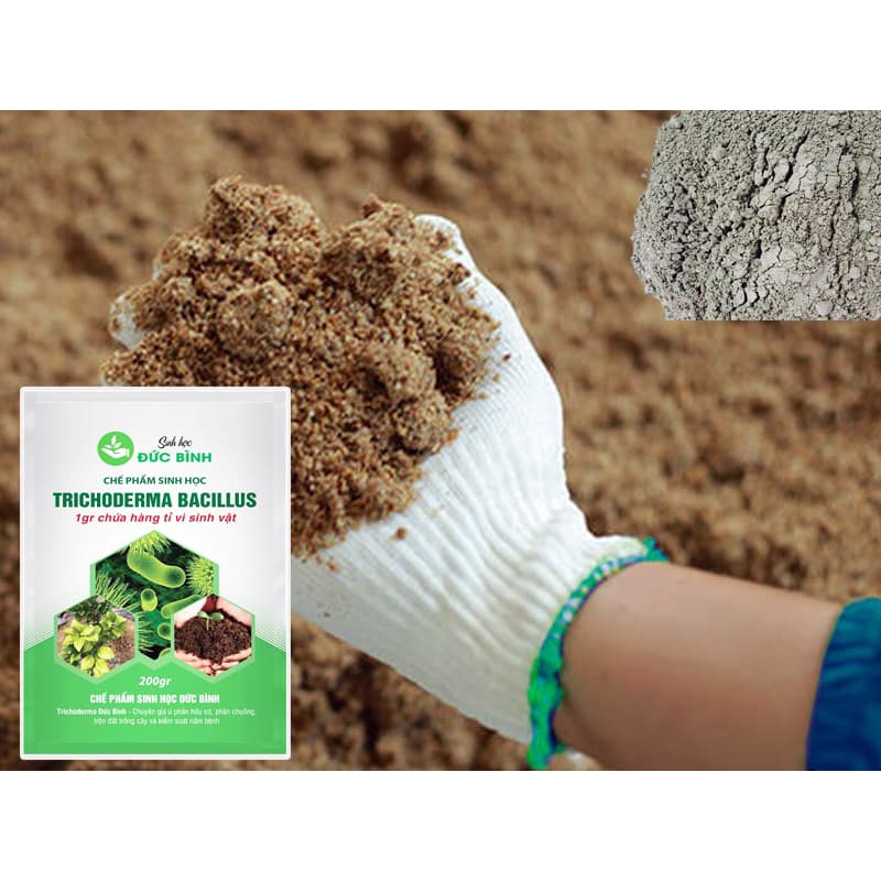 CHẾ PHẨM SINH HỌC TRICHODERMA ĐỨC BÌNH GÓI 200G - GIÚP TĂNG CHẤT LƯỢNG SẢN PHẨM