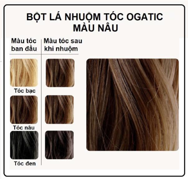 Nhuộm Tóc Thảo Dược Ogatic - Thuốc nhuộm tóc phủ tóc bạc Chiết xuất từ bột lá cây - Màu Nâu đen, Đen tự nhiên, nâu đỏ - NHUỘM TÓC AN TOÀN - ĐƠN GIẢN-TẠI NHÀ