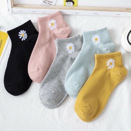 Combo 10 đôi tất hoa cúc