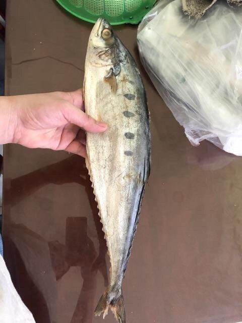 1kg Cá bè bè khô (họ cá thu), thịt thơm chắc
