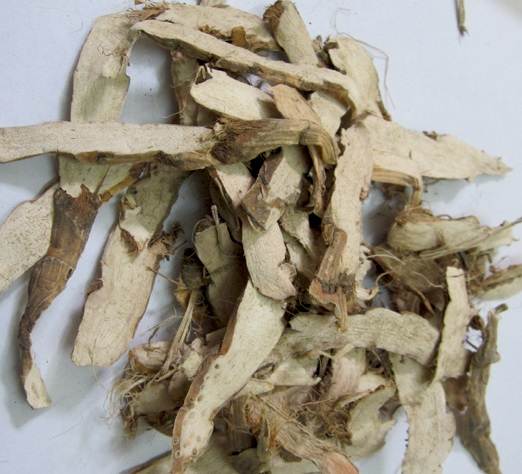 Cây thủy xương bồ khô túi lớn loại 500g - Sản phẩm của Tấn Phát - Hàng sạch xanh chất lượng cao