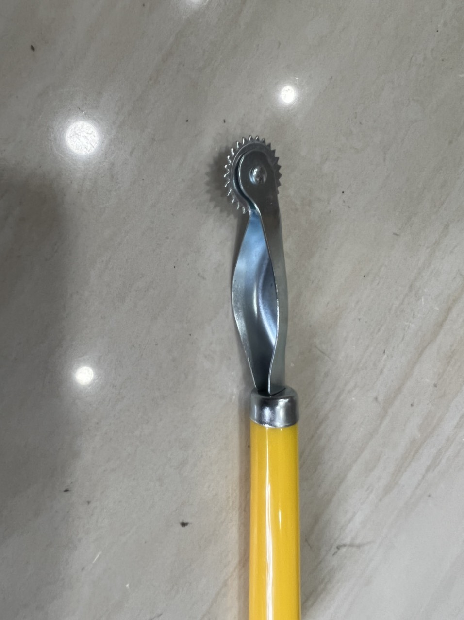 cây lăn dấu cây lấy dấu