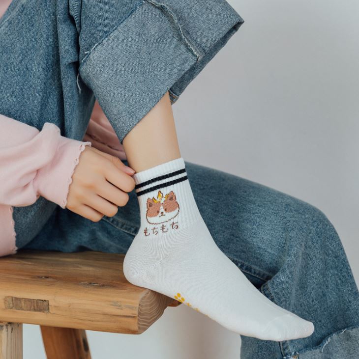 Set 5 Đôi Tất Vớ Nữ Gấu Trắng Cao Cổ