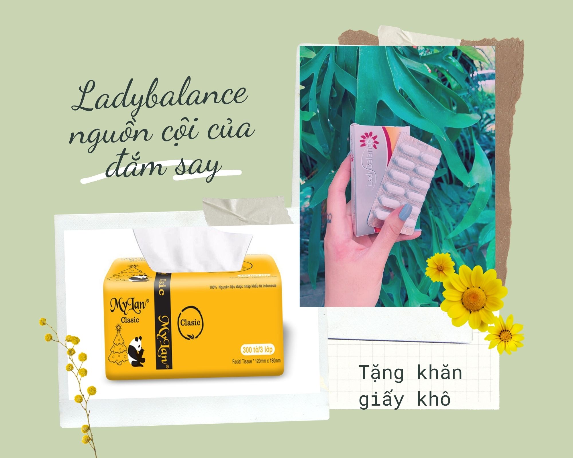 Viên đặt phụ khoa LADYBALANCE (Giúp chấm dứt các hiện tượng viem nhiễm, nấm ngứa vùng kín)