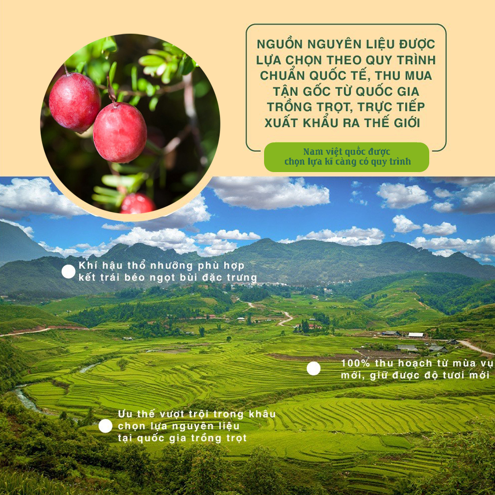 [Chính hãng] Nam Việt Quất Dan D Pak 350g