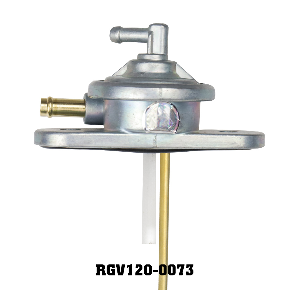 Bơm xăng RGV (M) RGV120-0074