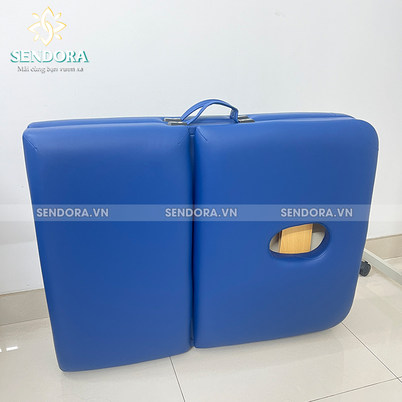 [HCM]Giường Spa Giường massage giường phun xăm dạng vali di động cao cấp Hi-MEC HMBB-8102-70