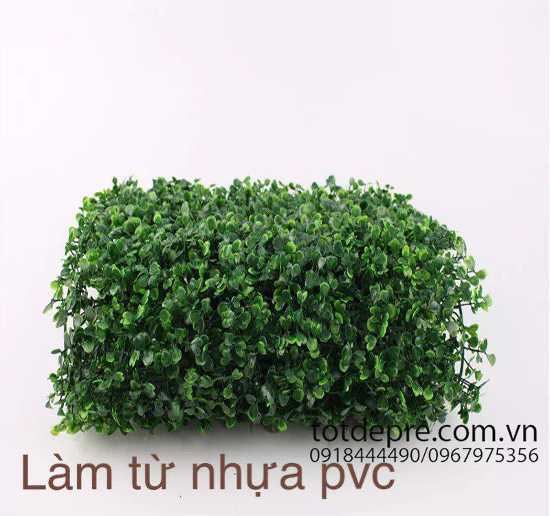 Thảm cỏ xoong nhân tạo 60x40cm