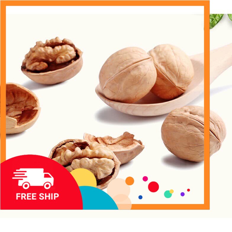 0.5KG ÓC CHÓ RỪNG SAPA QUẢ TO NHÂN MẨY