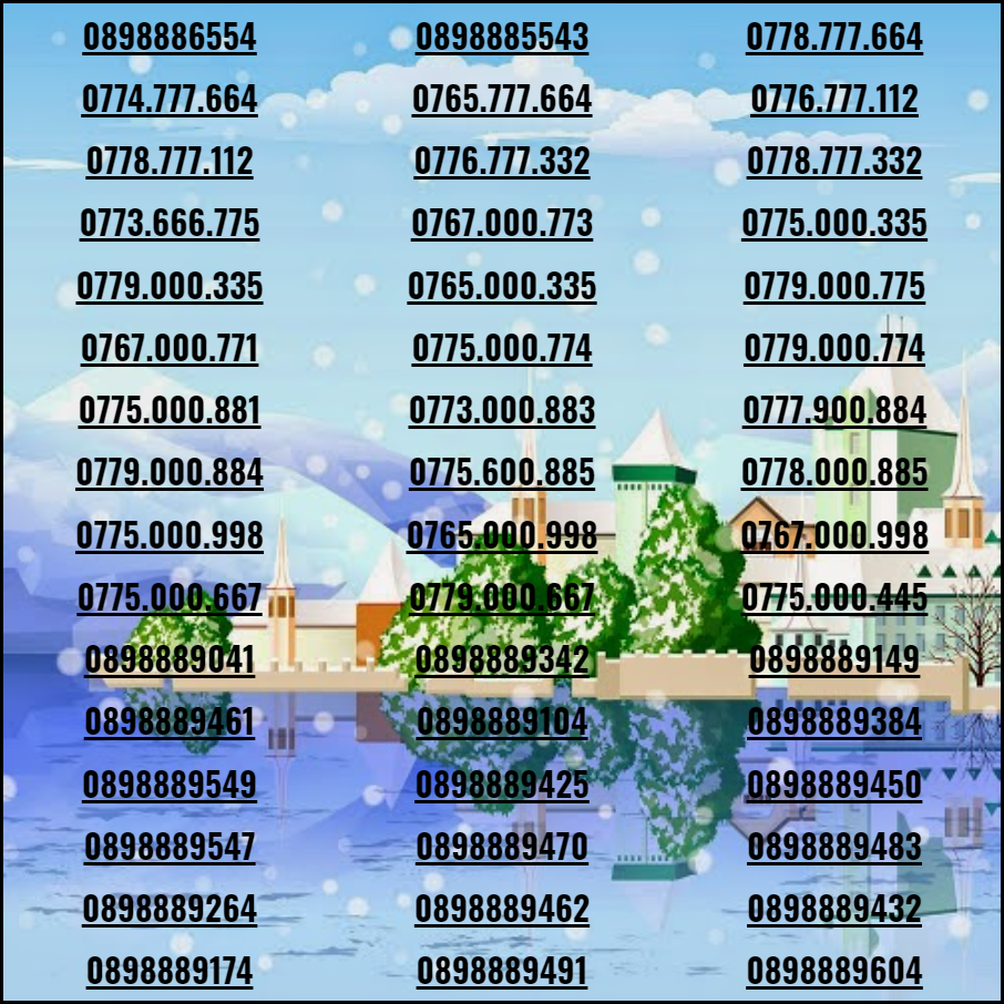 [HCM]Sim số đep tân gia