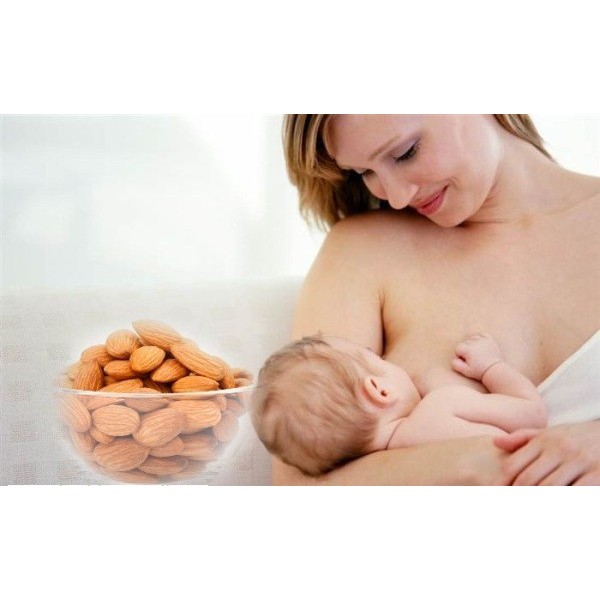 Hạnh Nhân Bóc Vỏ : 500G (Hạnh Nhân Sống)