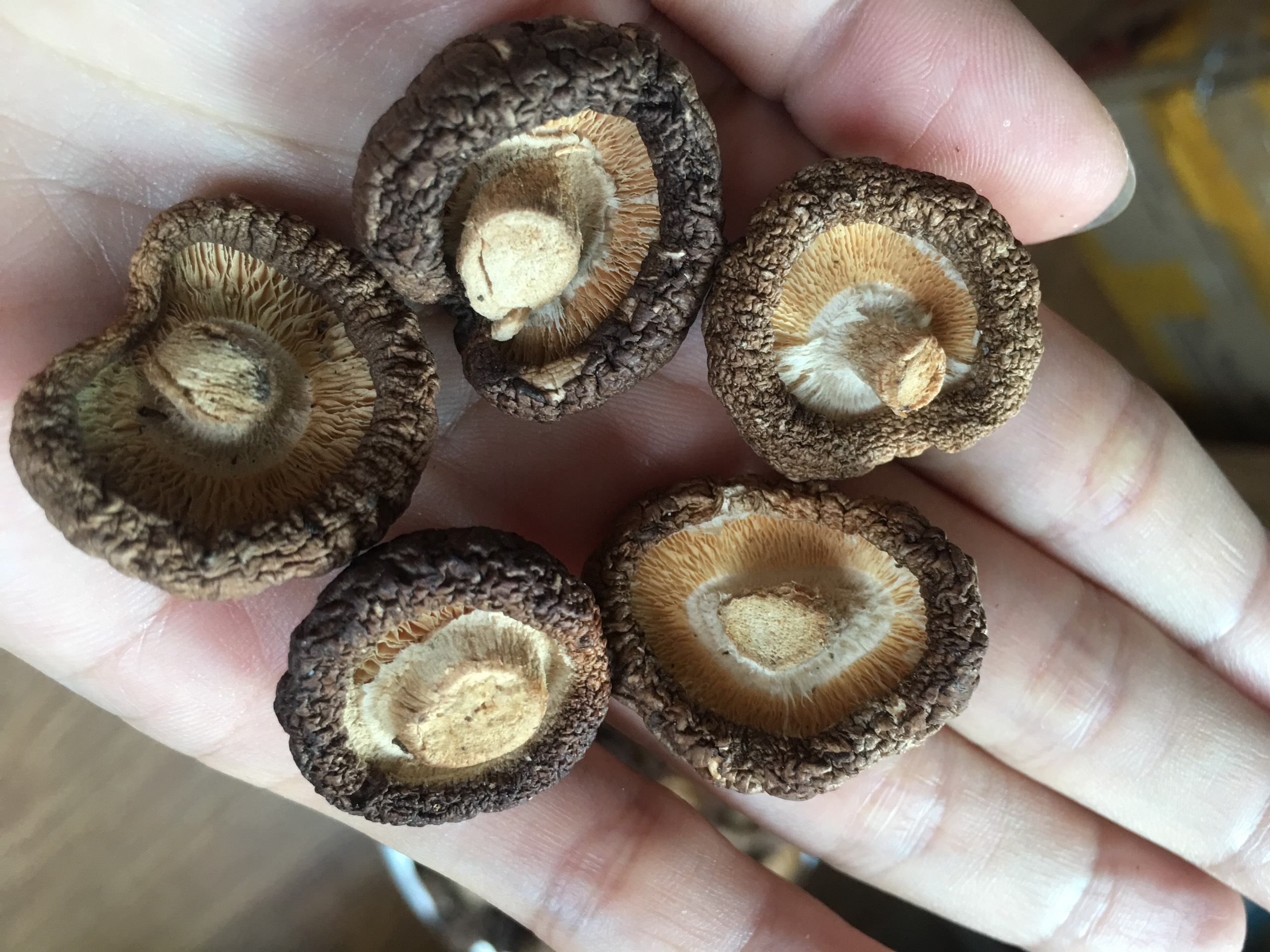 Nấm hương khô loại đặc biệt: Thơm ngon - Dày - Giòn ngọt  (gói 100g hút chân không)