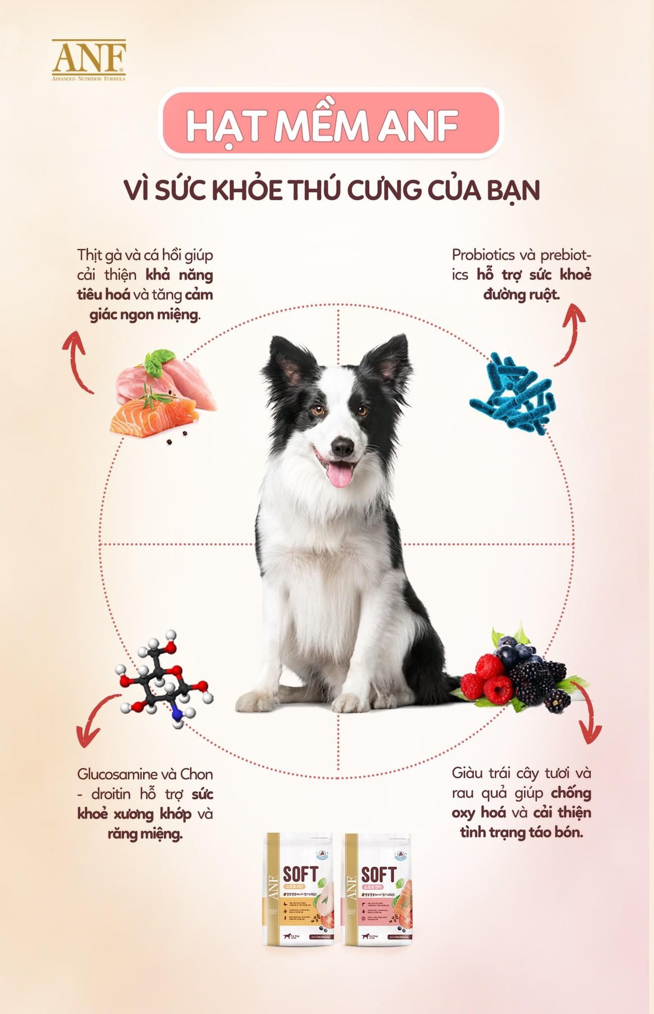 Thức Ăn Hạt Mềm ANF SOFT Cho Chó Mọi Lứa Tuổi Dễ Tuôi Hoá Từ Hàn Quốc - Vị Thịt Gà/Cá Hồi 1.2kg