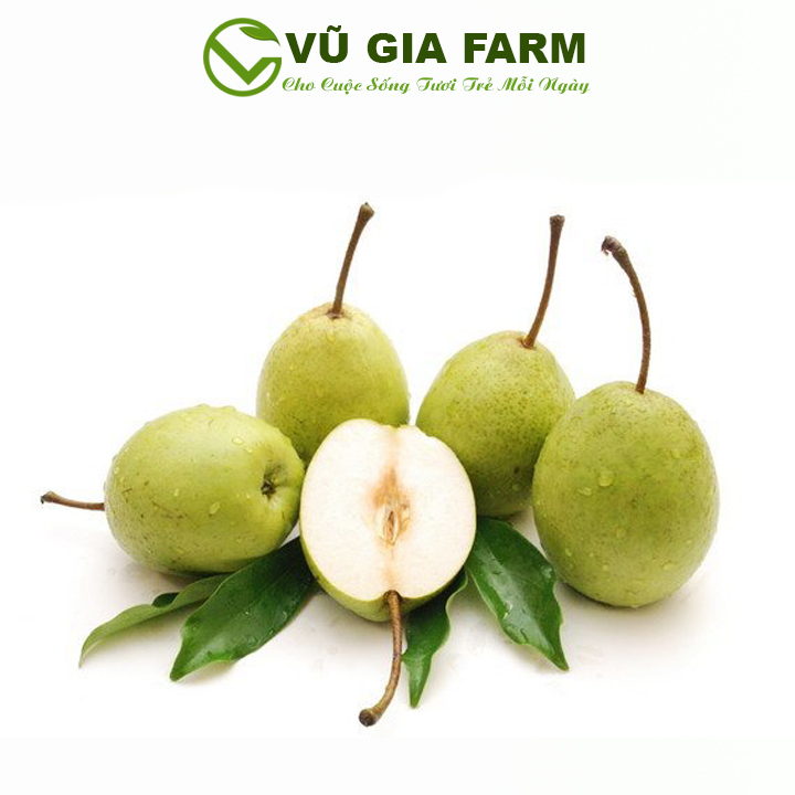 Trái Lê đường/ mắc cọp - ngon giòn ngọt chắc