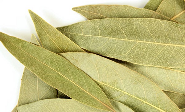 250G lá nguyệt quế ( lá thơm ) làm gia vị