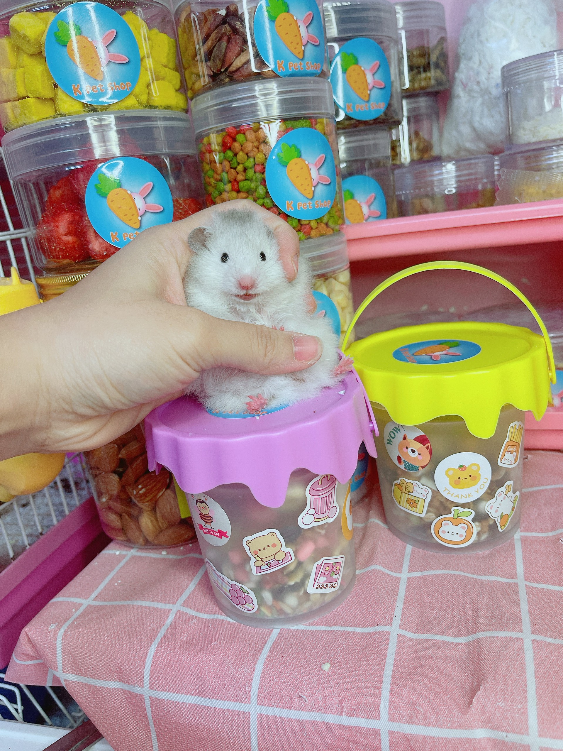 Hộp thức ăn tự trộn đặc biệt 🐹 Thức ăn vặt hamster