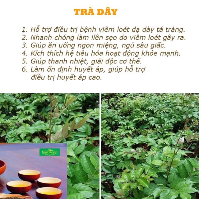 (2TẶNG 1)2 Túi 500g Thảo Mộc KINGTEA 500g