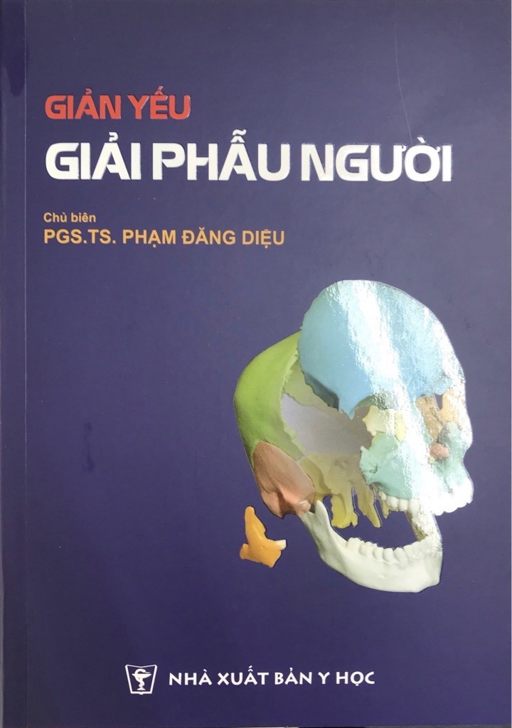 Giản yếu giải phẫu người