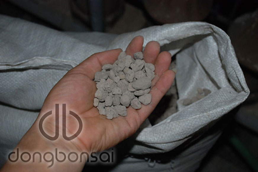 Combo 5lit Đá Pumice (đá bọt núi lửa) Indonesia