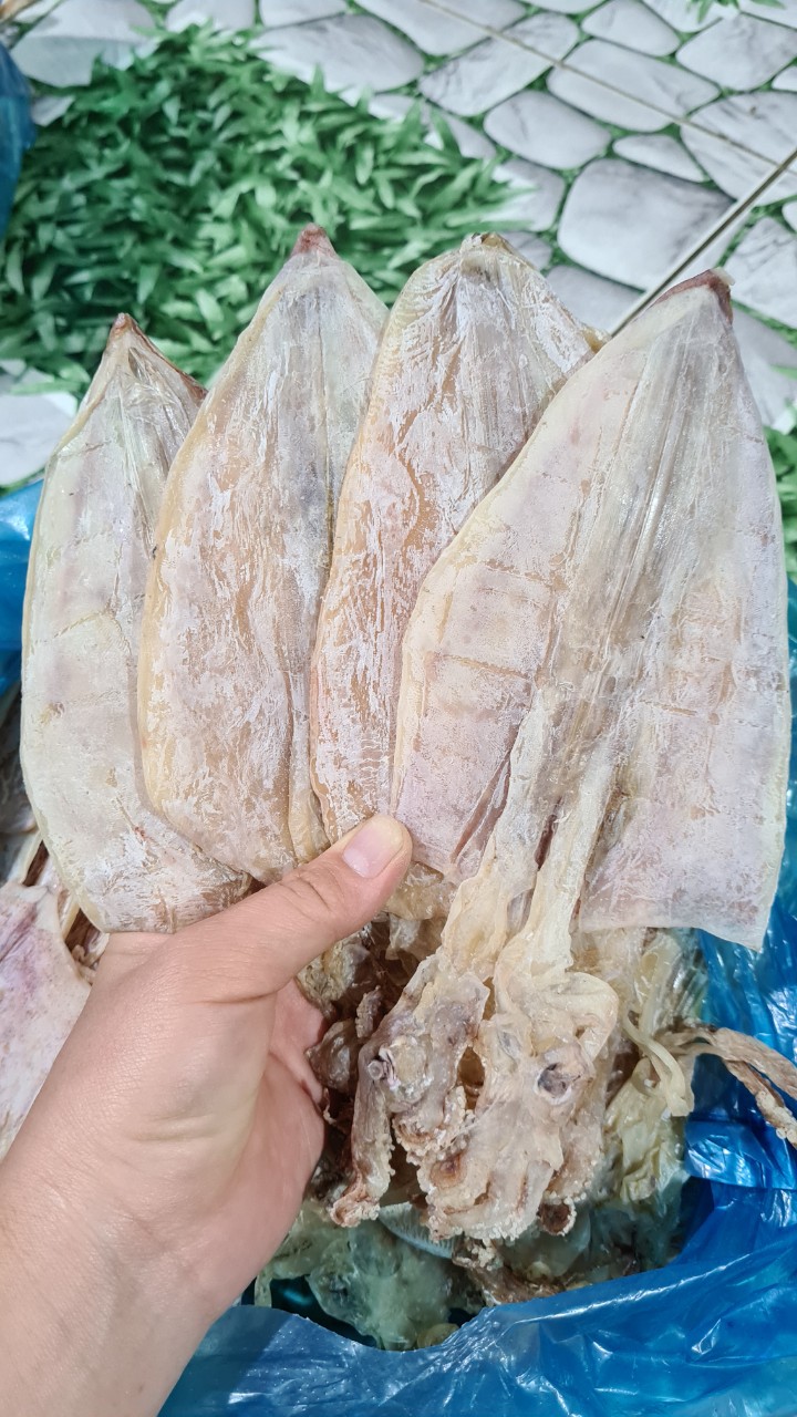[ Cực Ngon, Ngọt ] 1 Con Mực Câu Khô Vân Đồn Size 28-32 Con/1Kg