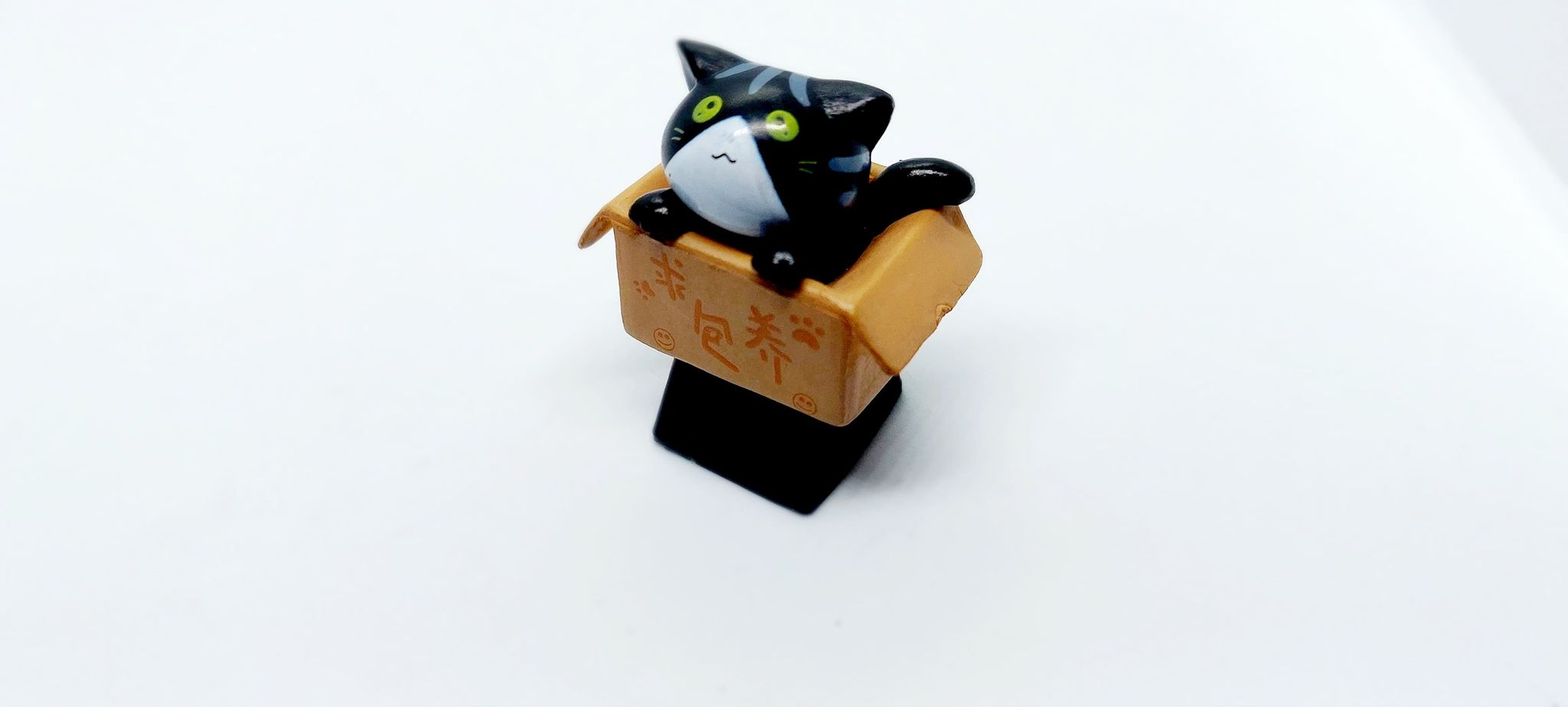 xả lỗ Keycap Cat in box trang trí bàn phím cơ gaming.