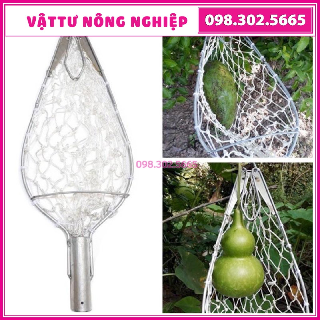 Vợt hái trái cây, quả trên cao 24cm