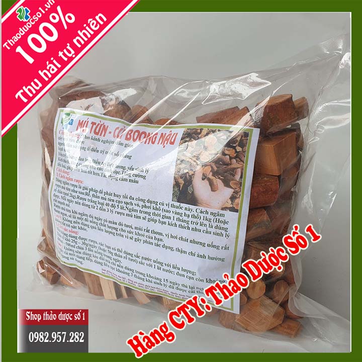 Cây mú từn - Bổ Thận Mạnh Cốt