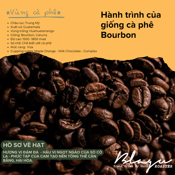 Cà Phê Blagu Hạt Đã Rang, Guatemala Huehuetenango  100% Arabica - Caturra, Bourbon  Medium 250g