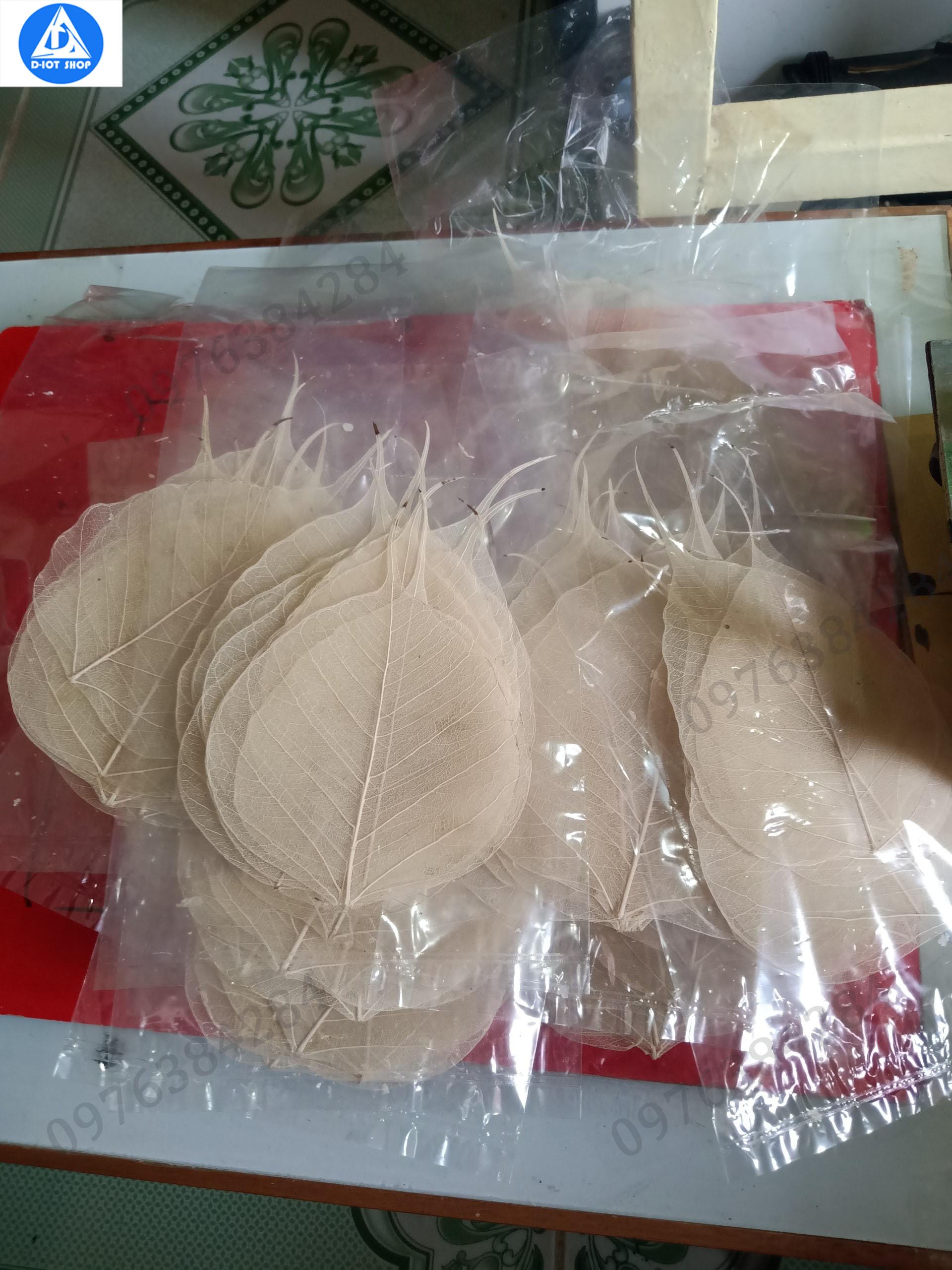 lá bồ đề tự nhiên