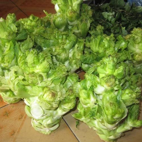 Bộ 2 Túi Hạt Giống Rau Cải Mầm Đá. Mỗi Túi 0,2 Gram. Chất Lượng Cao - Giá Khuyến Mại.