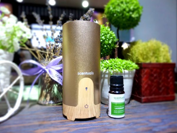 Tinh dầu Xông Phòng Hương Lá Quế Scentuals Cinnamon Leaf Pure Essential Oil 10ml