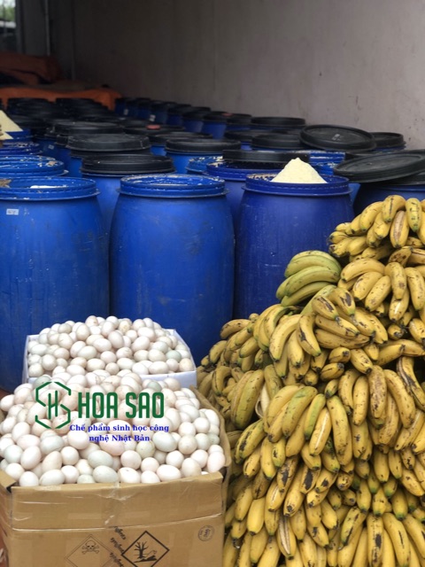 Chế phẩm đậu tương ủ Humic, chuối, trứng lên men (chai 1 lít)