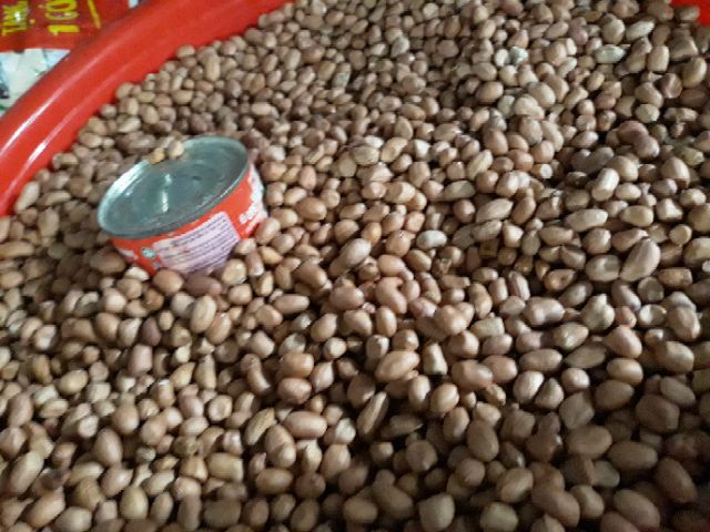 (Như hình)500gr Đậu phộng nhà, siêu sạch 100%