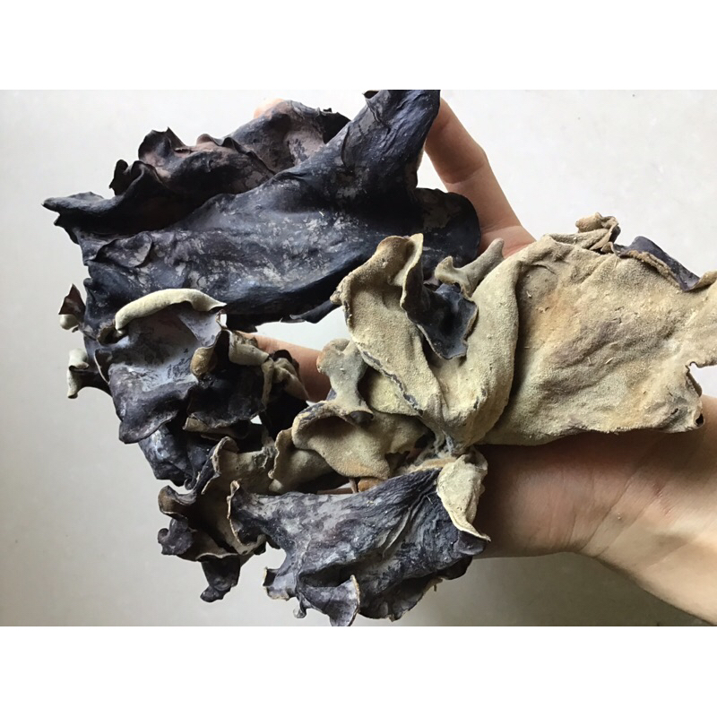 1 kg nấm mèo, mộc nhĩ khô loại to dày