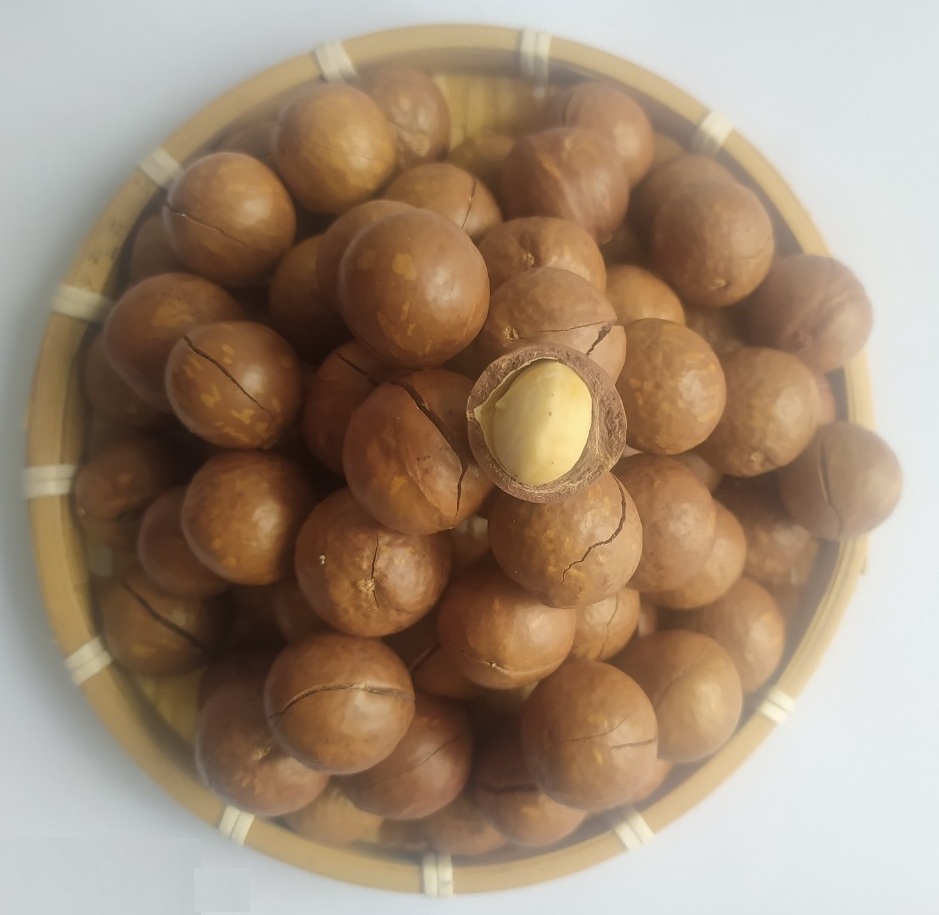 Hạt mắc ca ( 500 g) - Hạt mắc ca nhà trồng - Hạt macca Nứt vỏ Chikafreshfood