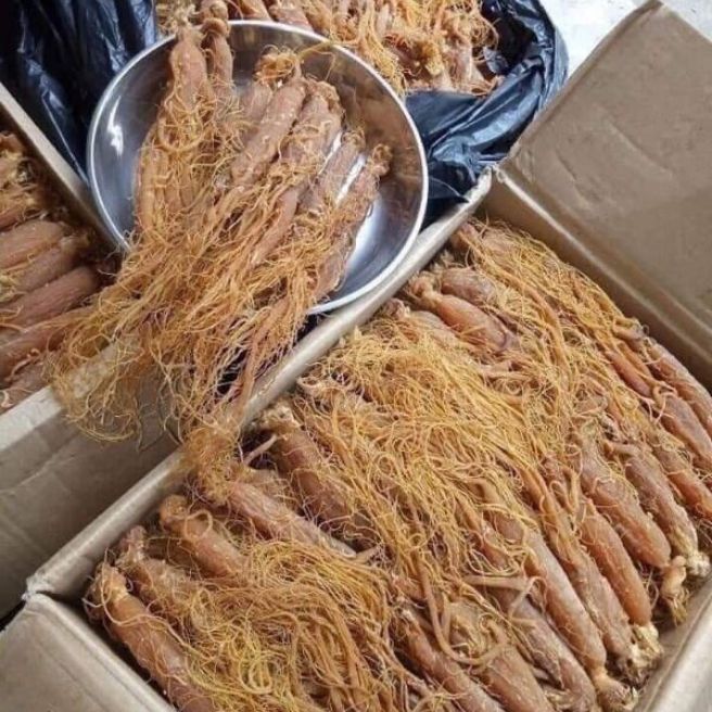 sỉ toàn quốc nhân sâm hàn quốc