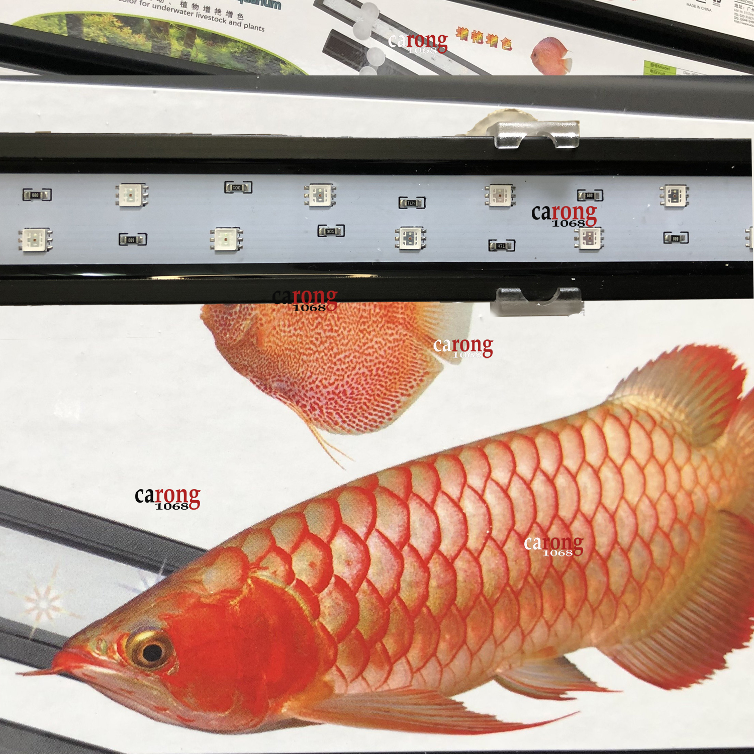 Đèn chuyên dùng kích màu huyết long, đèn quang phổ cho hồ nuôi huyết long LED AquaBlue Arowana 90cm huyết cải thiệt màu sắc