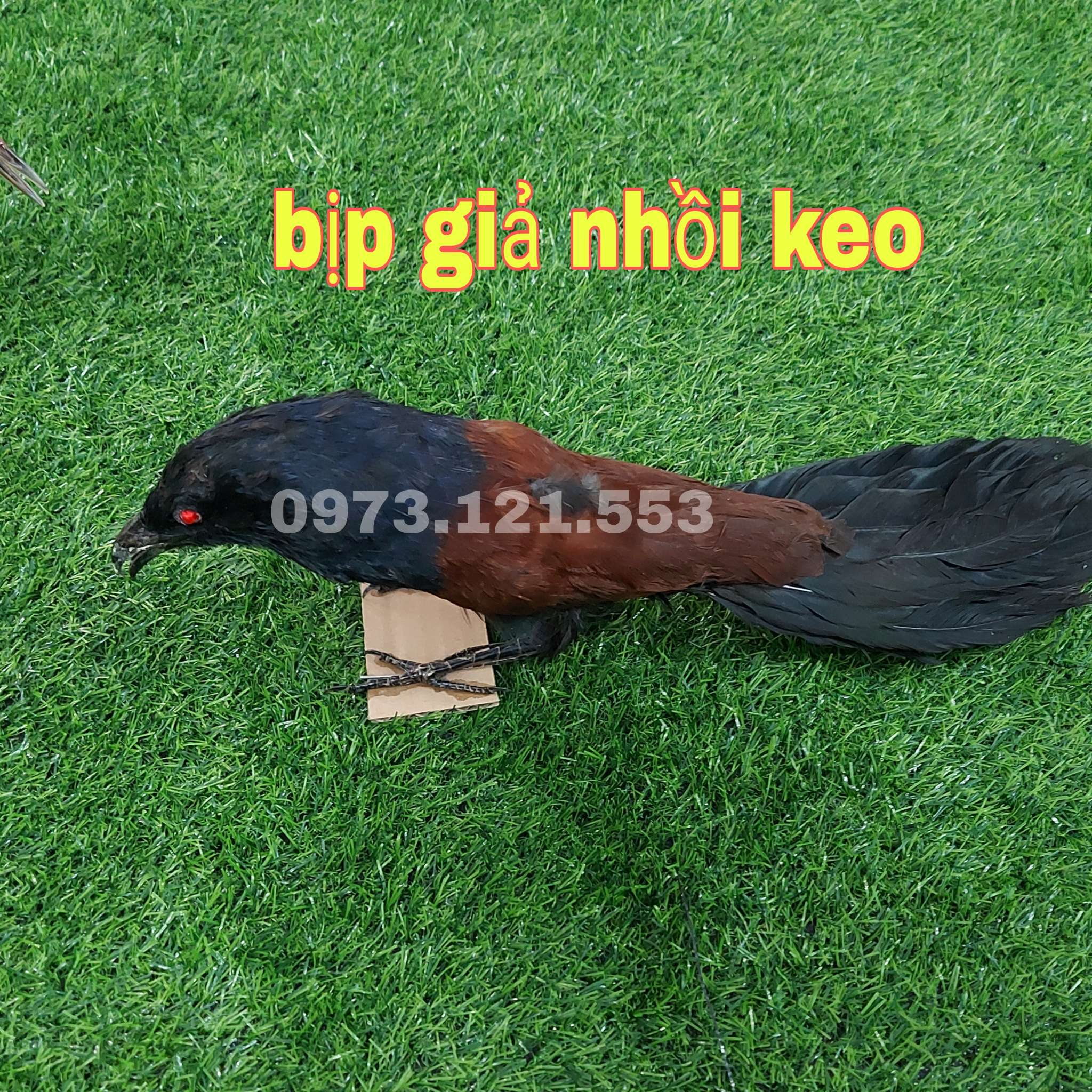bịp giả nhồi keo. siêu bền