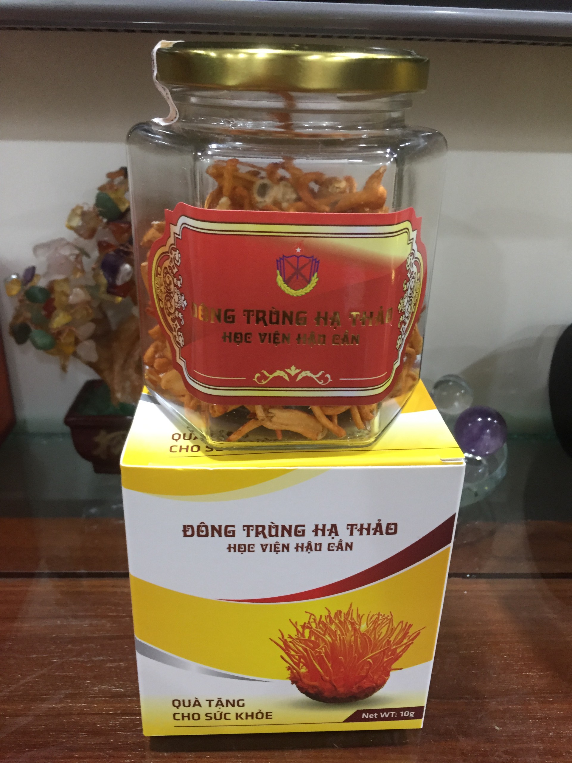 Đông Trùng Hạ Thảo - đông khô 10g
