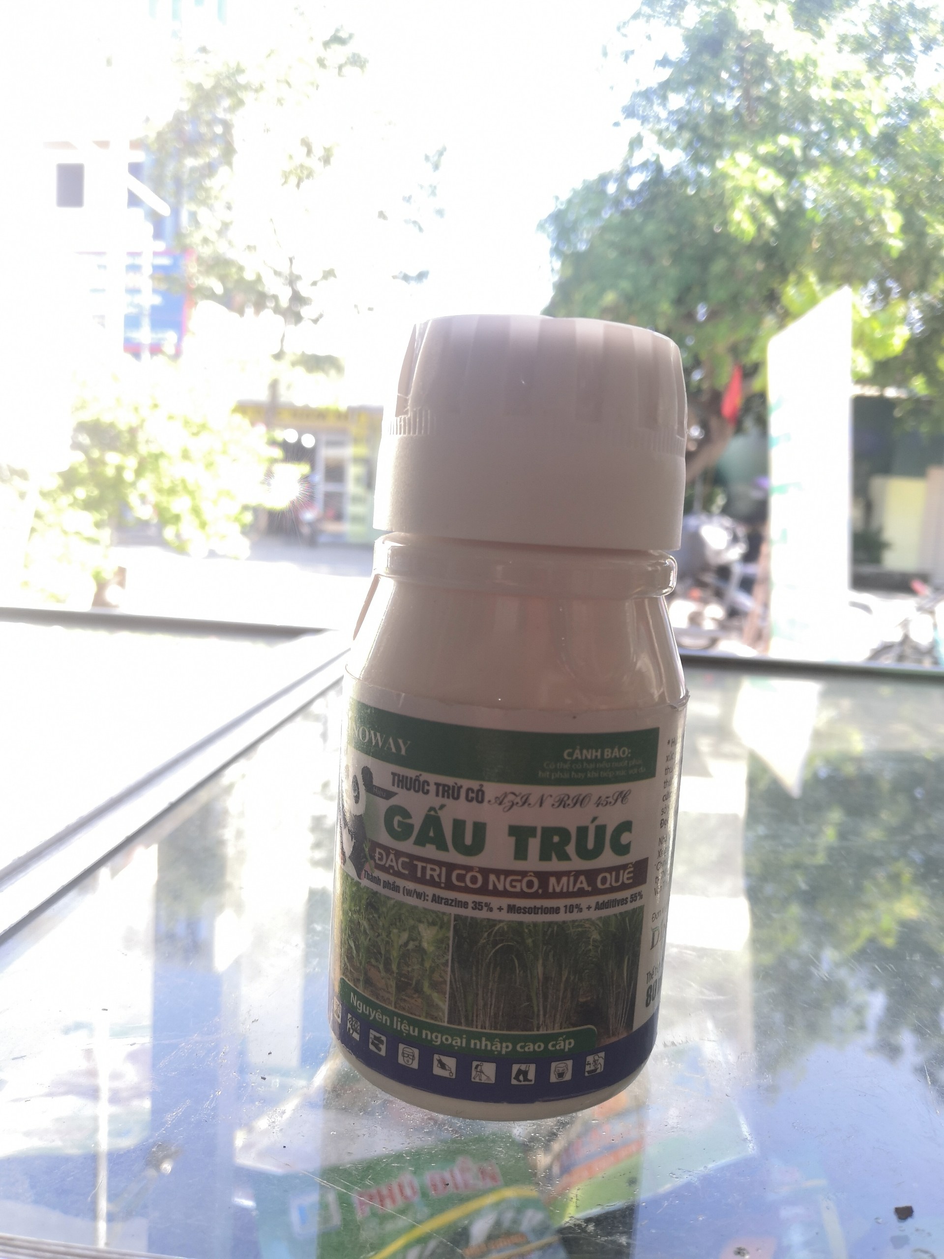 Diệt sạch cỏ cho cây Ngô, cây mía, cấy quế