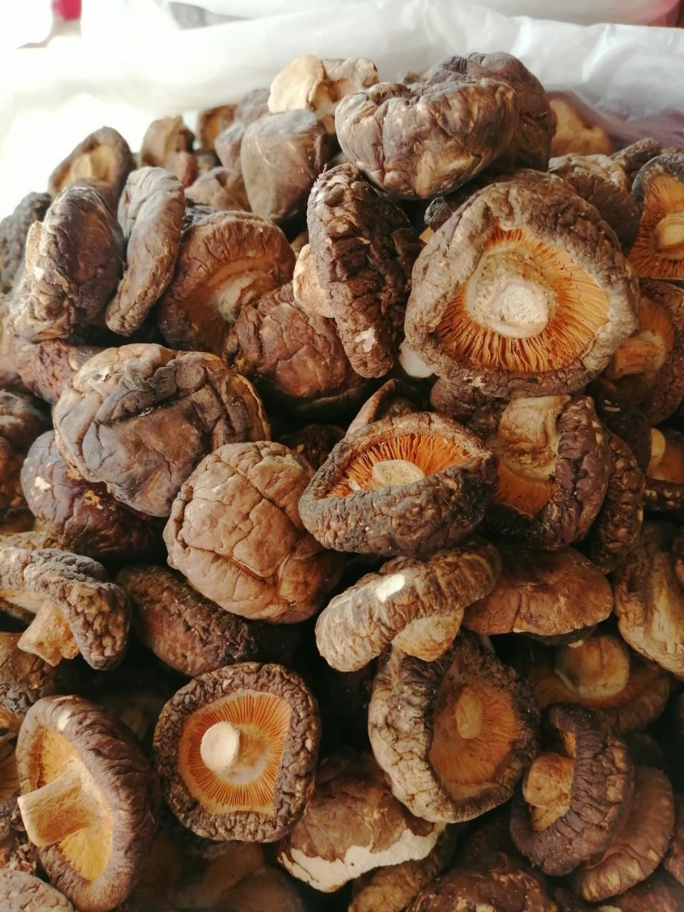 Nấm Đông Cô 100gr