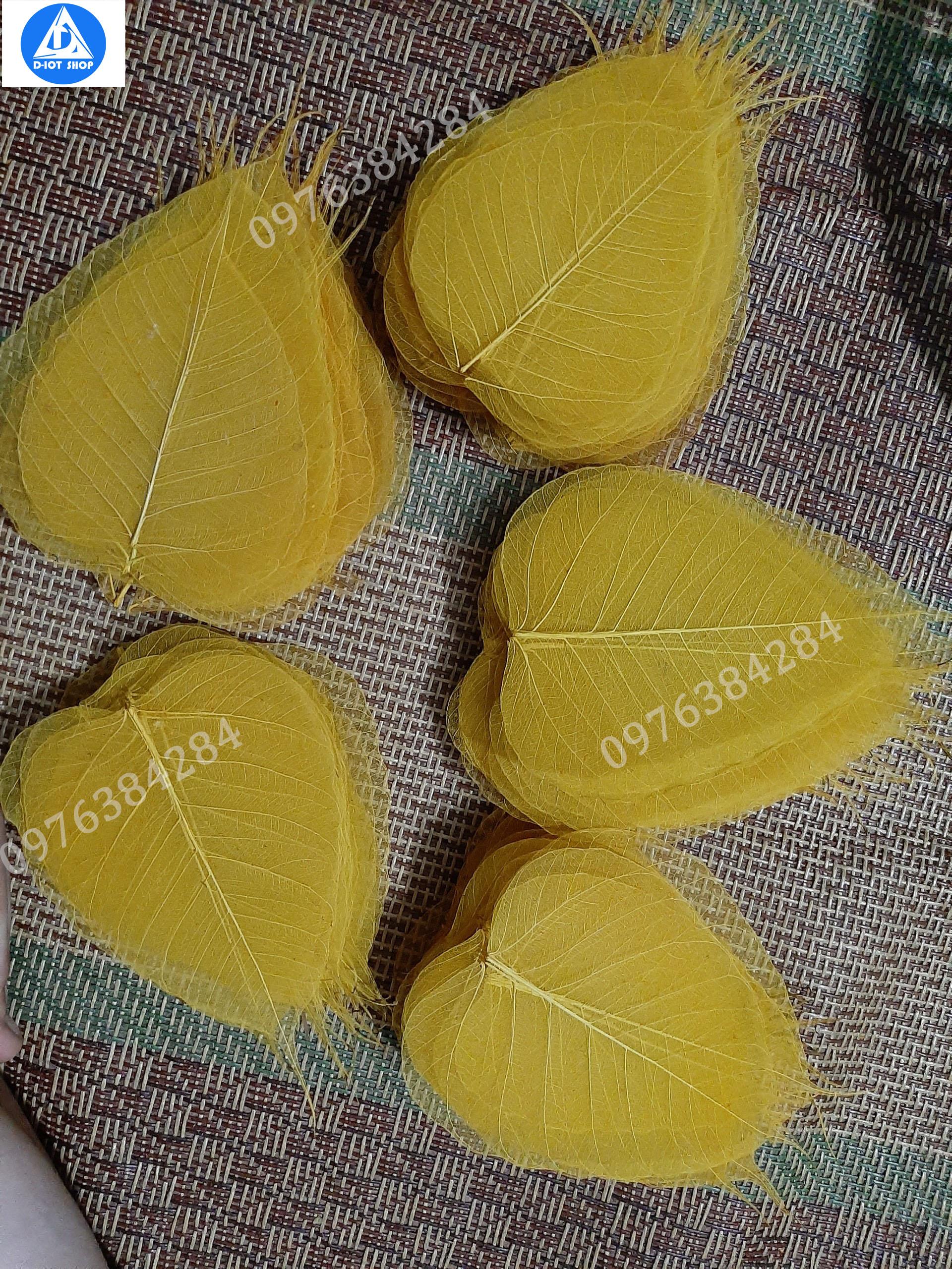 Set 100 lá bồ đề nhuộm vàng to(tặng 5 lá)