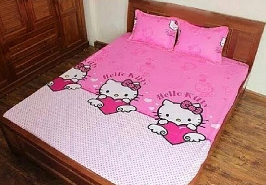 Bộ Ga Kèm - 2 áo gối - Đủ size Mèo Bi