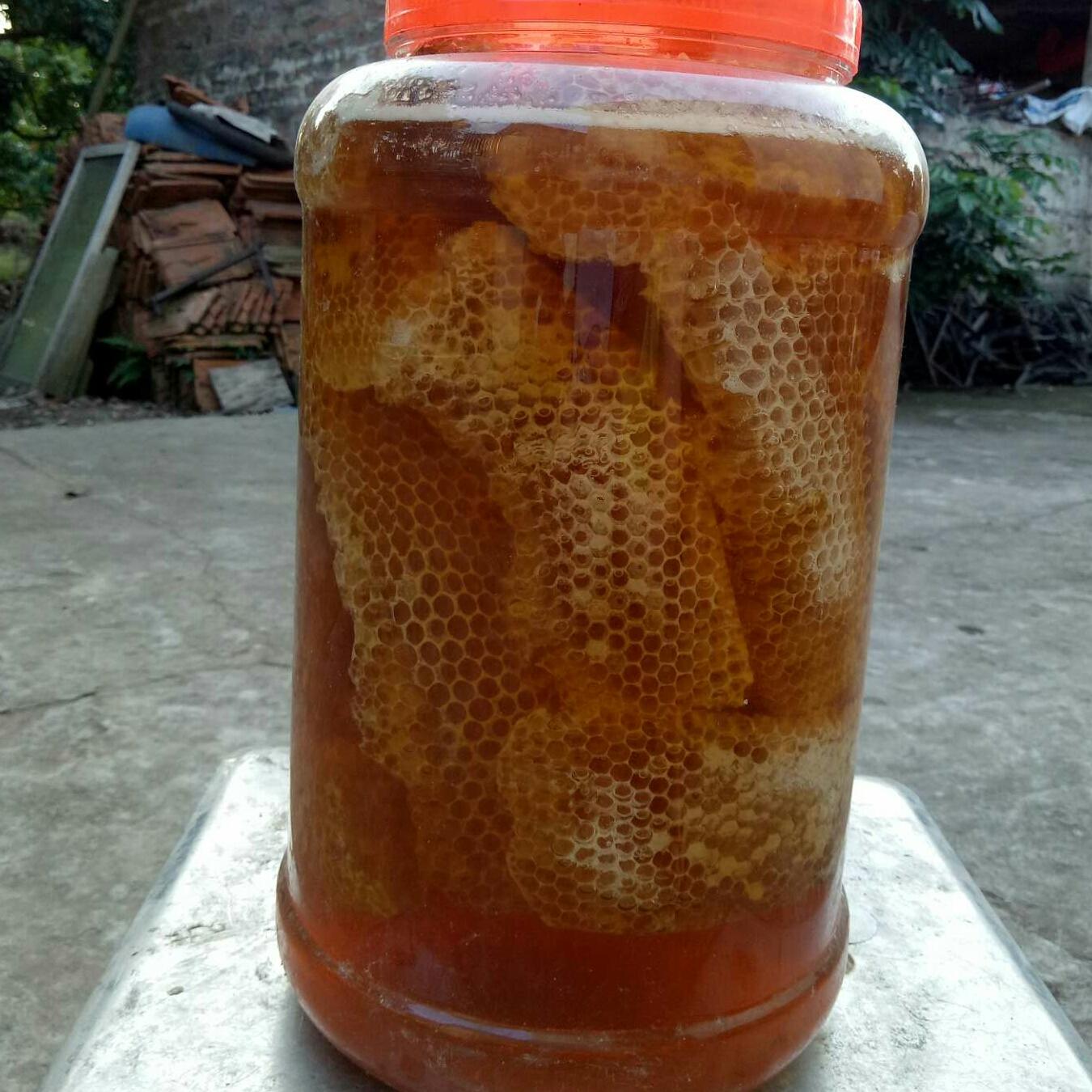 1kg Mật ong rừng nguyên sáp
